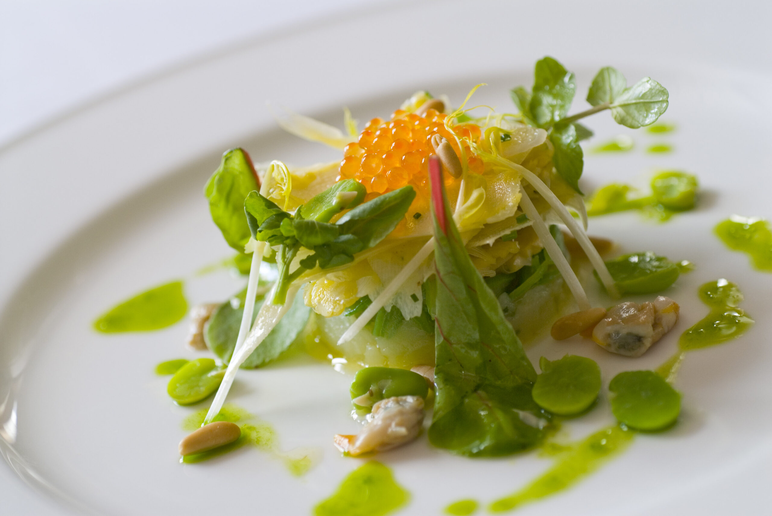 Ensalada de Brotes del Restaurante Tubal de Tafalla