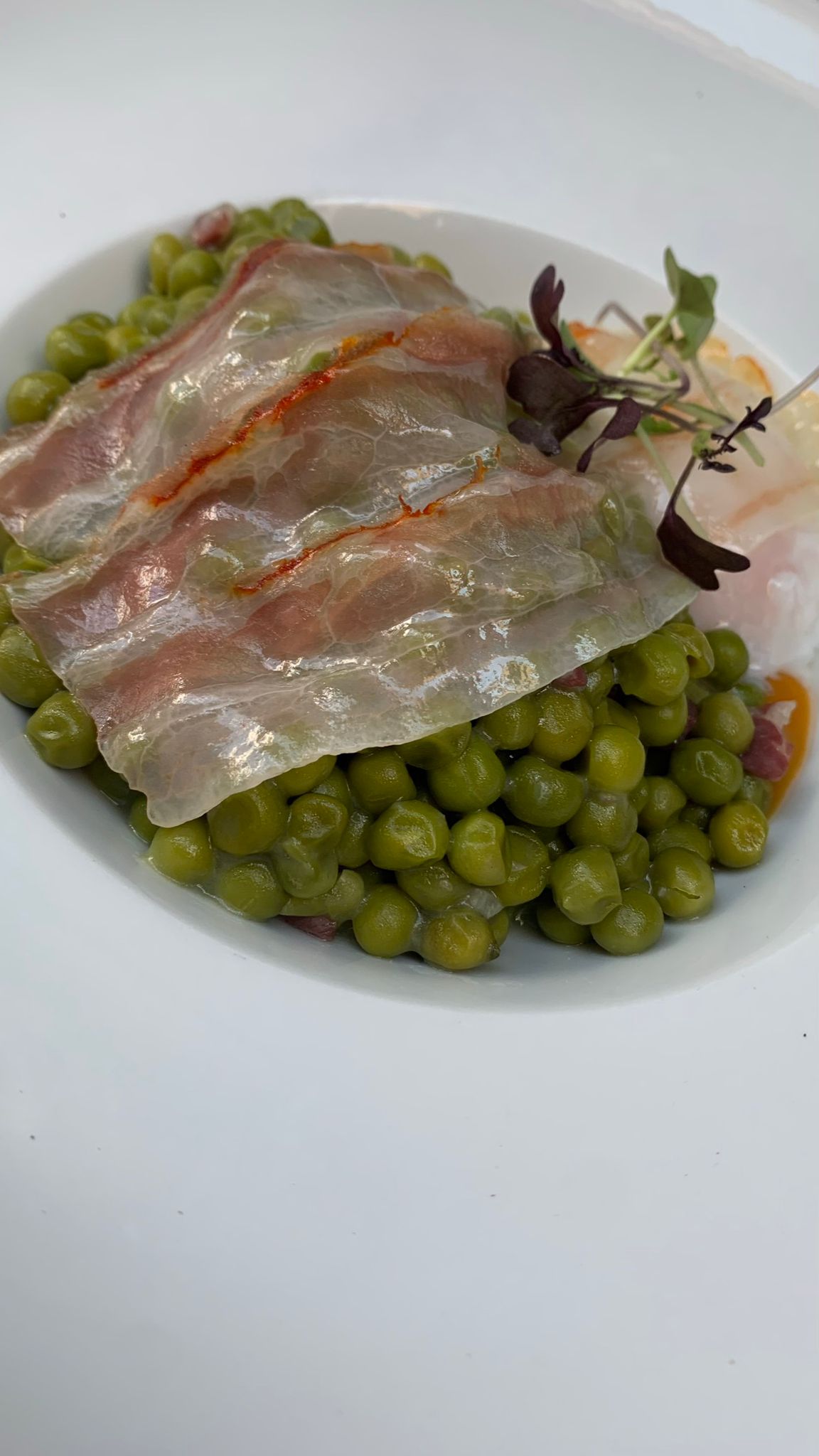 Guisantes con velo de papada ibérica del Bar La Catedral de Tudela
